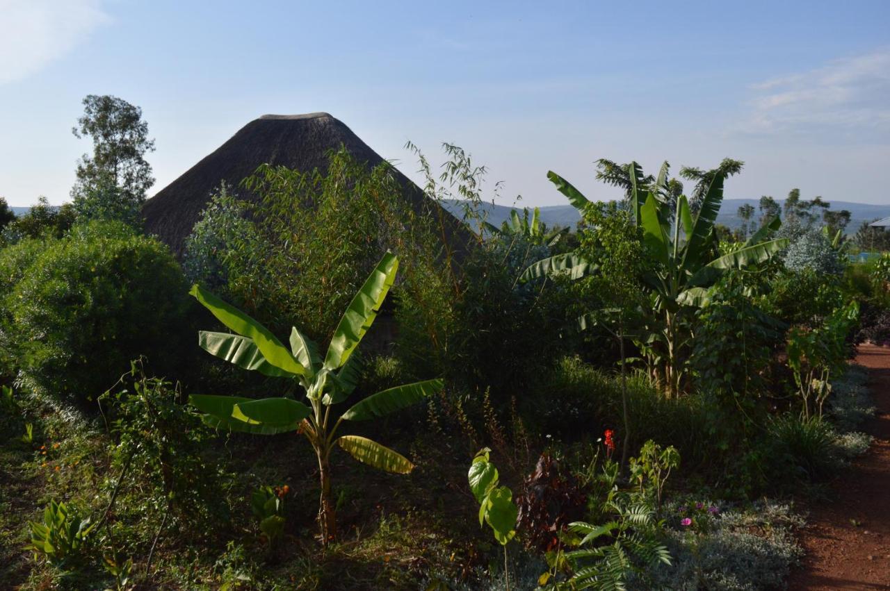 Rutete Eco Lodge Rwinkwavu Exterior photo